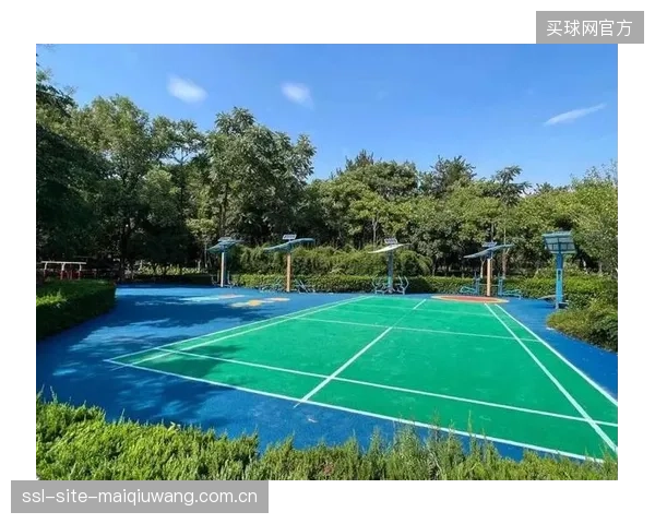 人均场地面积达2.2平方米背后，是大量体育空间“结构性闲置”的现实